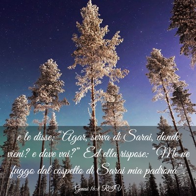 Picture 03 - Genesi 16:8 RIV - e le disse: “Agar, serva di Sarai, donde vieni? - Bible Verse Picture