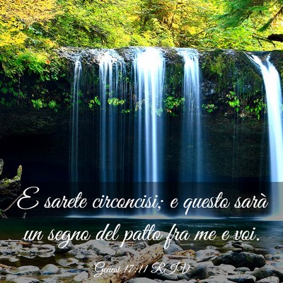 Picture 03 - Genesi 17:11 RIV - E sarete circoncisi; e questo sarà un segno del - Bible Verse Picture