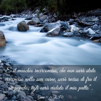 Picture 03 - Genesi 17:14 RIV - E il maschio incirconciso, che non sarà stato - Bible Verse Picture