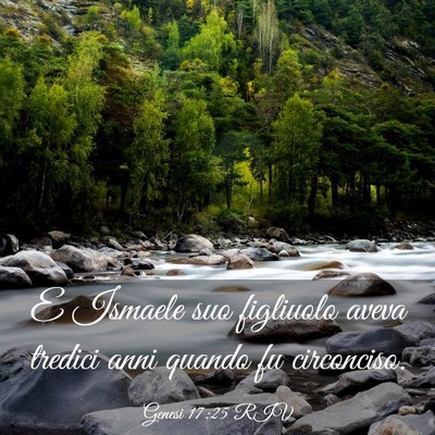 Picture 03 - Genesi 17:25 RIV - E Ismaele suo figliuolo aveva tredici anni quando - Bible Verse Picture