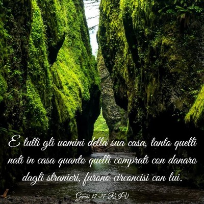 Picture 03 - Genesi 17:27 RIV - E tutti gli uomini della sua casa, tanto quelli - Bible Verse Picture