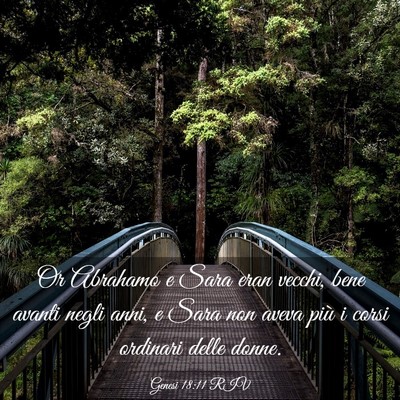 Picture 03 - Genesi 18:11 RIV - Or Abrahamo e Sara eran vecchi, bene avanti negli - Bible Verse Picture