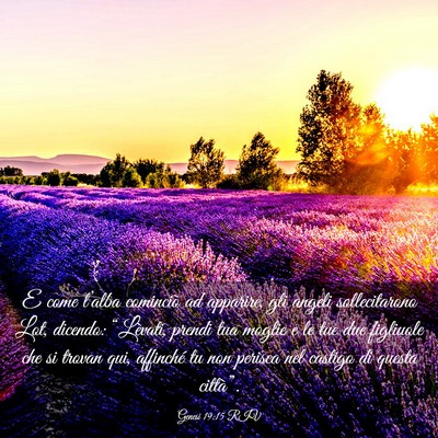 Picture 03 - Genesi 19:15 RIV - E come l’alba cominciò ad apparire, gli angeli - Bible Verse Picture