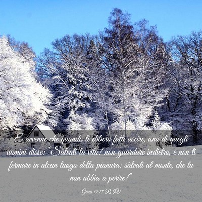 Picture 03 - Genesi 19:17 RIV - E avvenne che quando li ebbero fatti uscire, uno - Bible Verse Picture