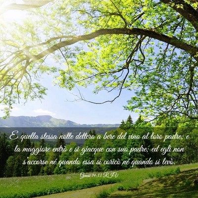 Picture 03 - Genesi 19:33 RIV - E quella stessa notte dettero a bere del vino al - Bible Verse Picture