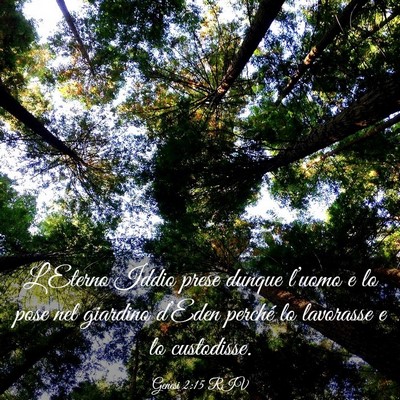 Picture 03 - Genesi 2:15 RIV - L’Eterno Iddio prese dunque l’uomo e lo pose - Bible Verse Picture