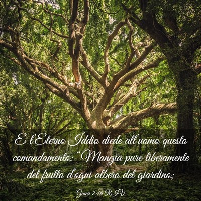 Picture 03 - Genesi 2:16 RIV - E l’Eterno Iddio diede all’uomo questo - Bible Verse Picture