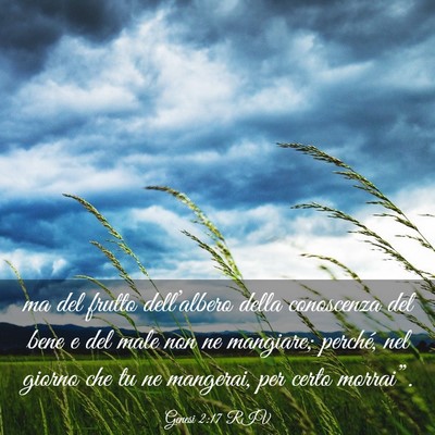 Picture 03 - Genesi 2:17 RIV - ma del frutto dell’albero della conoscenza del - Bible Verse Picture