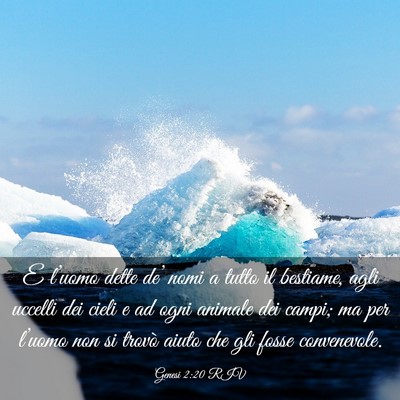 Picture 03 - Genesi 2:20 RIV - E l’uomo dette de’ nomi a tutto il bestiame, - Bible Verse Picture