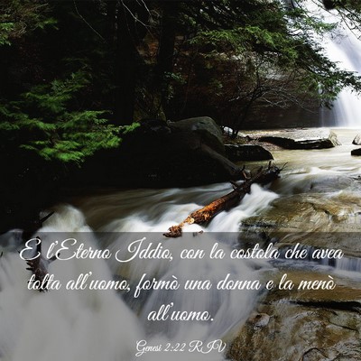 Picture 03 - Genesi 2:22 RIV - E l’Eterno Iddio, con la costola che avea tolta - Bible Verse Picture