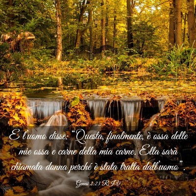 Picture 03 - Genesi 2:23 RIV - E l’uomo disse: “Questa, finalmente, è ossa - Bible Verse Picture