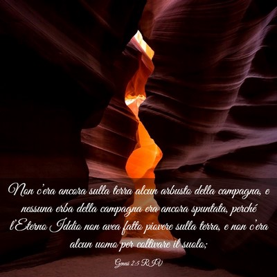 Picture 03 - Genesi 2:5 RIV - Non c’era ancora sulla terra alcun arbusto - Bible Verse Picture