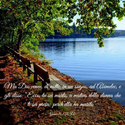 Picture 03 - Genesi 20:3 RIV - Ma Dio venne, di notte, in un sogno, ad Abimelec, - Bible Verse Picture
