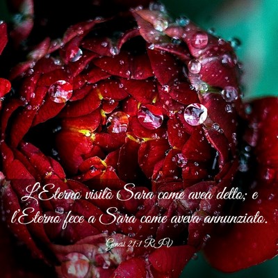Picture 03 - Genesi 21:1 RIV - L’Eterno visitò Sara come avea detto; e - Bible Verse Picture