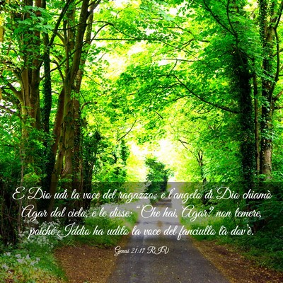 Picture 03 - Genesi 21:17 RIV - E Dio udì la voce del ragazzo; e l’angelo dì - Bible Verse Picture