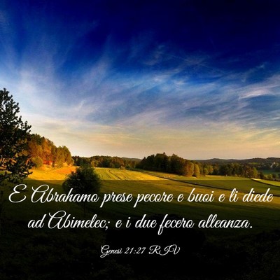 Picture 03 - Genesi 21:27 RIV - E Abrahamo prese pecore e buoi e li diede ad - Bible Verse Picture