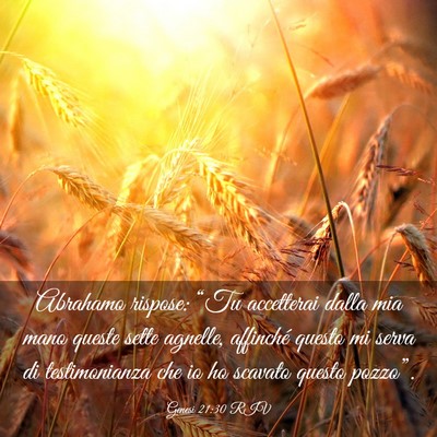 Picture 03 - Genesi 21:30 RIV - Abrahamo rispose: “Tu accetterai dalla mia mano - Bible Verse Picture