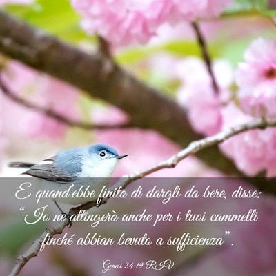 Picture 03 - Genesi 24:19 RIV - E quand’ebbe finito di dargli da bere, disse: - Bible Verse Picture