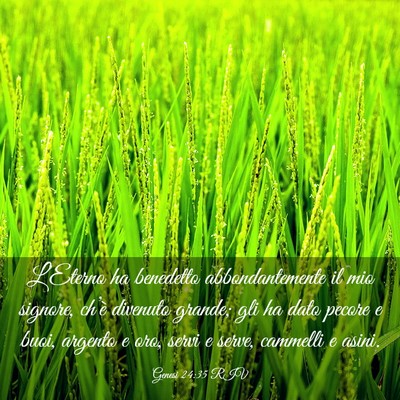 Picture 03 - Genesi 24:35 RIV - L’Eterno ha benedetto abbondantemente il mio - Bible Verse Picture