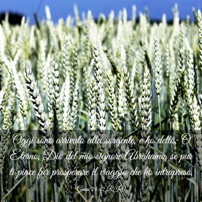 Picture 03 - Genesi 24:42 RIV - Oggi sono arrivato alla sorgente, e ho detto: O - Bible Verse Picture