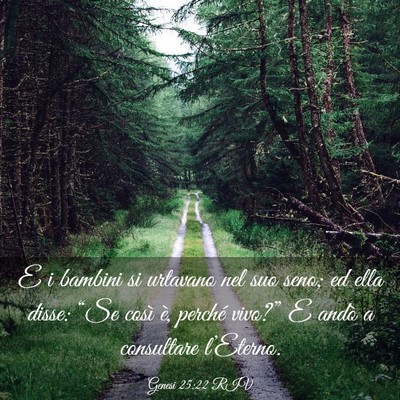Picture 03 - Genesi 25:22 RIV - E i bambini si urtavano nel suo seno; ed ella - Bible Verse Picture