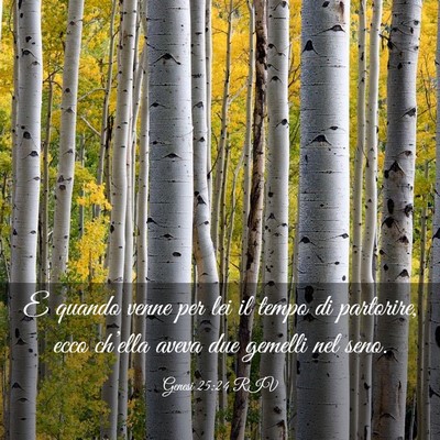 Picture 03 - Genesi 25:24 RIV - E quando venne per lei il tempo di partorire, - Bible Verse Picture