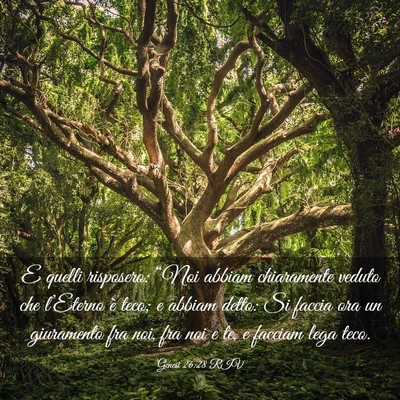 Picture 03 - Genesi 26:28 RIV - E quelli risposero: “Noi abbiam chiaramente - Bible Verse Picture