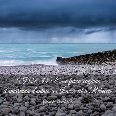 Picture 03 - Genesi 26:35 RIV - (H26-34) Esse furon cagione d’amarezza - Bible Verse Picture