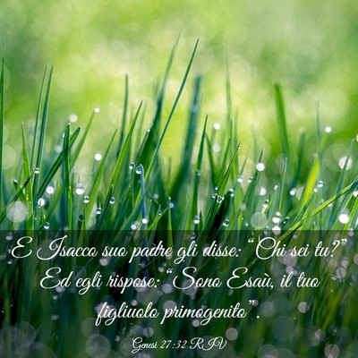 Picture 03 - Genesi 27:32 RIV - E Isacco suo padre gli disse: “Chi sei tu?” - Bible Verse Picture