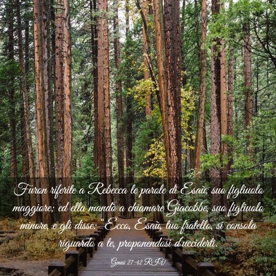 Picture 03 - Genesi 27:42 RIV - Furon riferite a Rebecca le parole di Esaù, suo - Bible Verse Picture