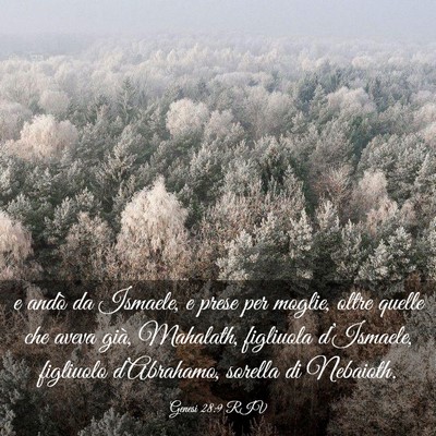 Picture 03 - Genesi 28:9 RIV - e andò da Ismaele, e prese per moglie, oltre - Bible Verse Picture
