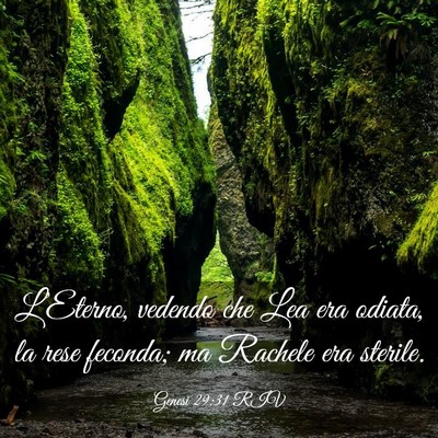 Picture 03 - Genesi 29:31 RIV - L’Eterno, vedendo che Lea era odiata, la rese - Bible Verse Picture