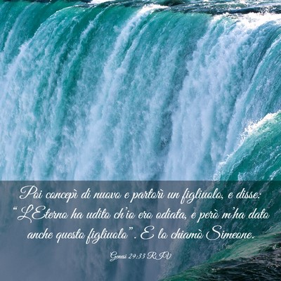 Picture 03 - Genesi 29:33 RIV - Poi concepì di nuovo e partorì un figliuolo, e - Bible Verse Picture