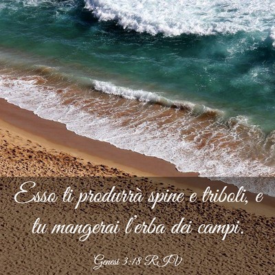 Picture 03 - Genesi 3:18 RIV - Esso ti produrrà spine e triboli, e tu mangerai - Bible Verse Picture