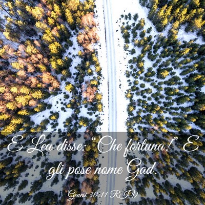Picture 03 - Genesi 30:11 RIV - E Lea disse: “Che fortuna!” E gli pose nome - Bible Verse Picture