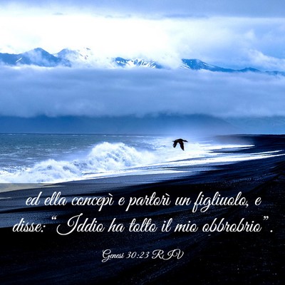 Picture 03 - Genesi 30:23 RIV - ed ella concepì e partorì un figliuolo, e - Bible Verse Picture