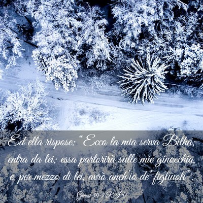 Picture 03 - Genesi 30:3 RIV - Ed ella rispose: “Ecco la mia serva Bilha; - Bible Verse Picture