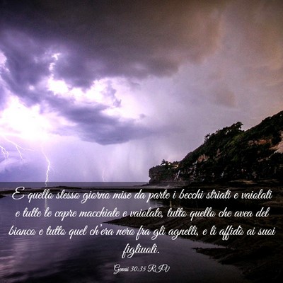 Picture 03 - Genesi 30:35 RIV - E quello stesso giorno mise da parte i becchi - Bible Verse Picture