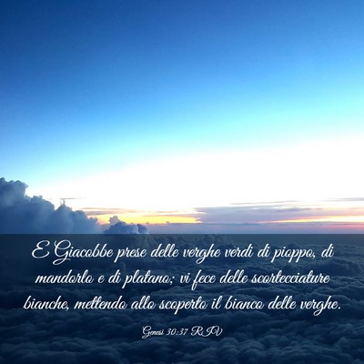 Picture 03 - Genesi 30:37 RIV - E Giacobbe prese delle verghe verdi di pioppo, di - Bible Verse Picture