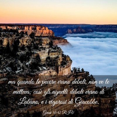 Picture 03 - Genesi 30:42 RIV - ma quando le pecore erano deboli, non ve le - Bible Verse Picture