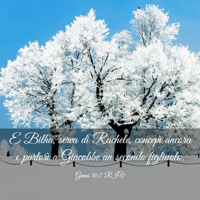 Picture 03 - Genesi 30:7 RIV - E Bilha, serva di Rachele, concepì ancora e - Bible Verse Picture