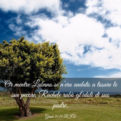 Picture 03 - Genesi 31:19 RIV - Or mentre Labano se n’era andato a tosare le - Bible Verse Picture