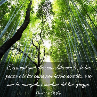 Picture 03 - Genesi 31:38 RIV - Ecco vent’anni che sono stato con te; le tue - Bible Verse Picture