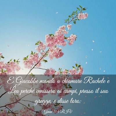 Picture 03 - Genesi 31:4 RIV - E Giacobbe mandò a chiamare Rachele e Lea - Bible Verse Picture