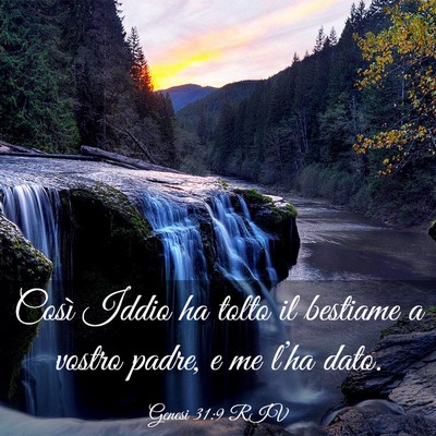 Picture 03 - Genesi 31:9 RIV - Così Iddio ha tolto il bestiame a vostro padre, - Bible Verse Picture