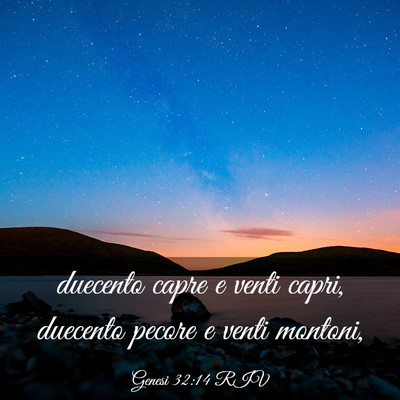 Picture 03 - Genesi 32:14 RIV - duecento capre e venti capri, duecento pecore e - Bible Verse Picture