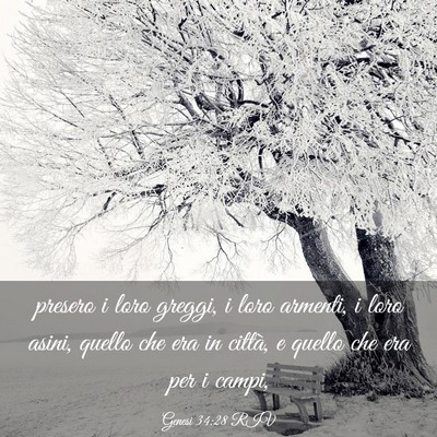 Picture 03 - Genesi 34:28 RIV - presero i loro greggi, i loro armenti, i loro - Bible Verse Picture