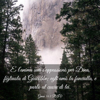 Picture 03 - Genesi 34:3 RIV - E l’anima sua s’appassionò per Dina, - Bible Verse Picture