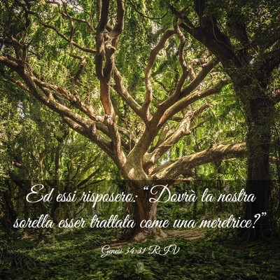 Picture 03 - Genesi 34:31 RIV - Ed essi risposero: “Dovrà la nostra sorella - Bible Verse Picture