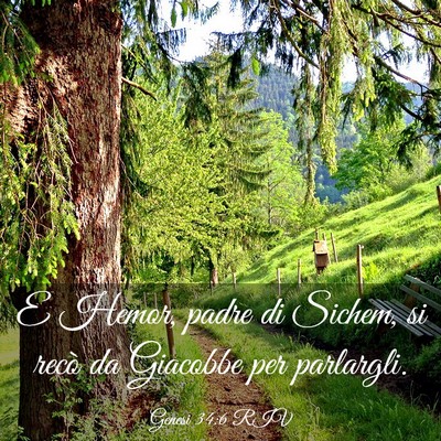 Picture 03 - Genesi 34:6 RIV - E Hemor, padre di Sichem, si recò da Giacobbe - Bible Verse Picture
